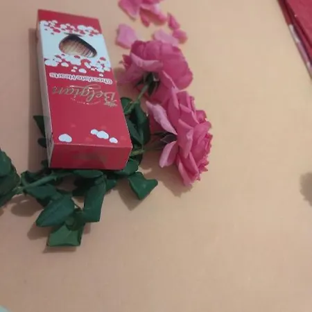 Radic Διαμέρισμα *