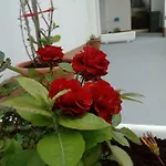 Appartamento Radic *