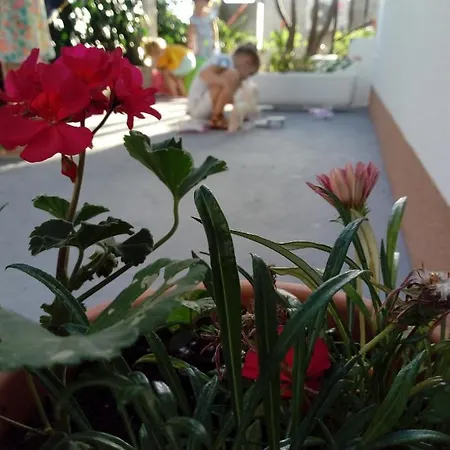 Radic Appartement *