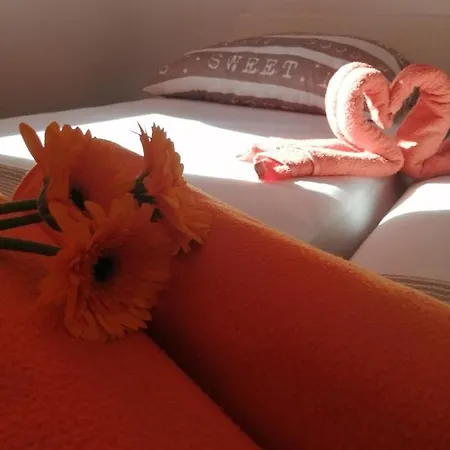 Radic Apartman *