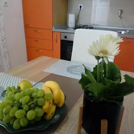 Appartement Radic *