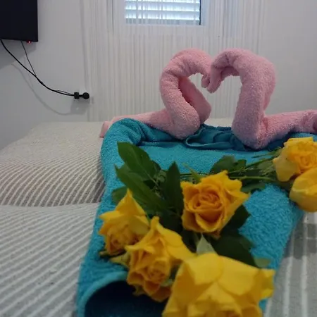 Radic Apartman *