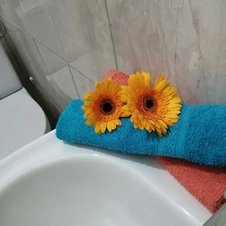 Radic Apartman *