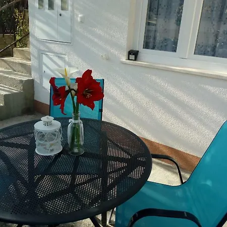 Radic Apartman *