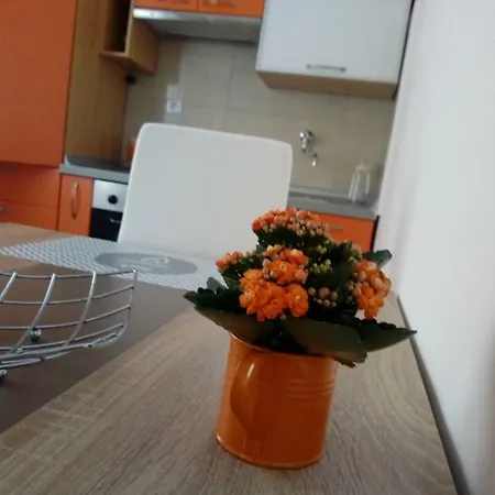 Radic Apartman *