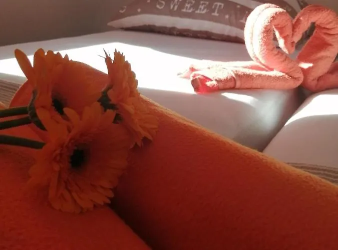 Radic Апартаменты *