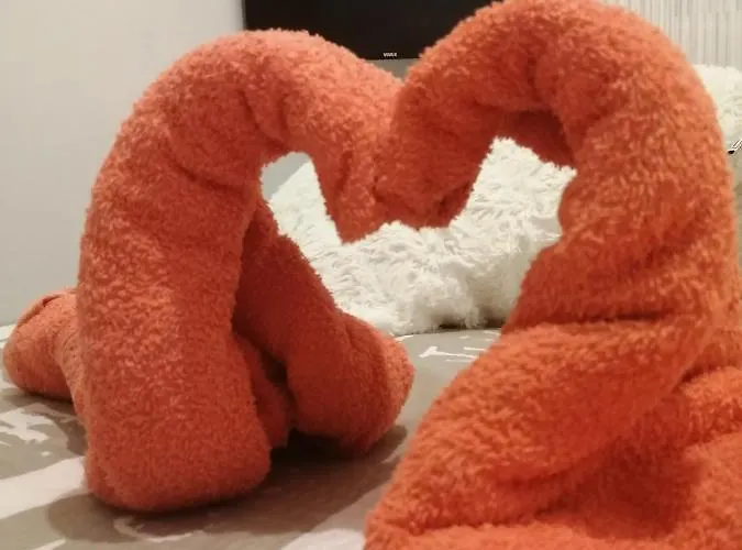 Radic Apartman Trogir