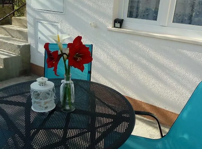 Radic Апартаменты *