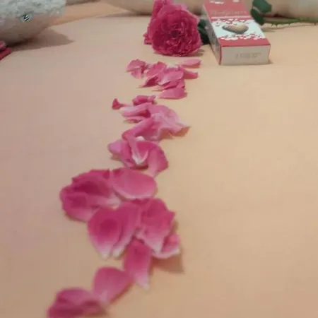 Radic * Трогір